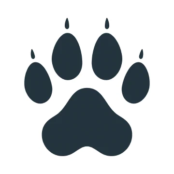 Paper on DevDog accepted at the SBES 2026 Tools Track