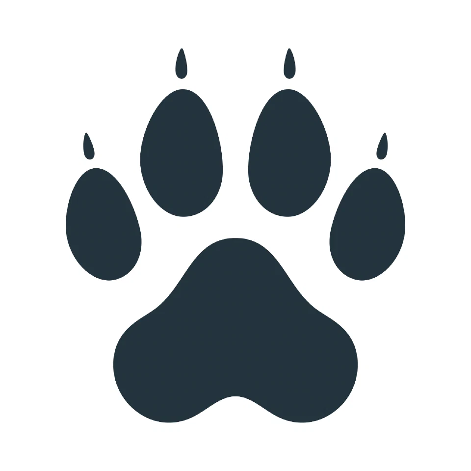 Paper on DevDog accepted at the SBES 2026 Tools Track