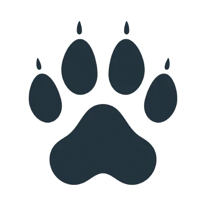 DevDog